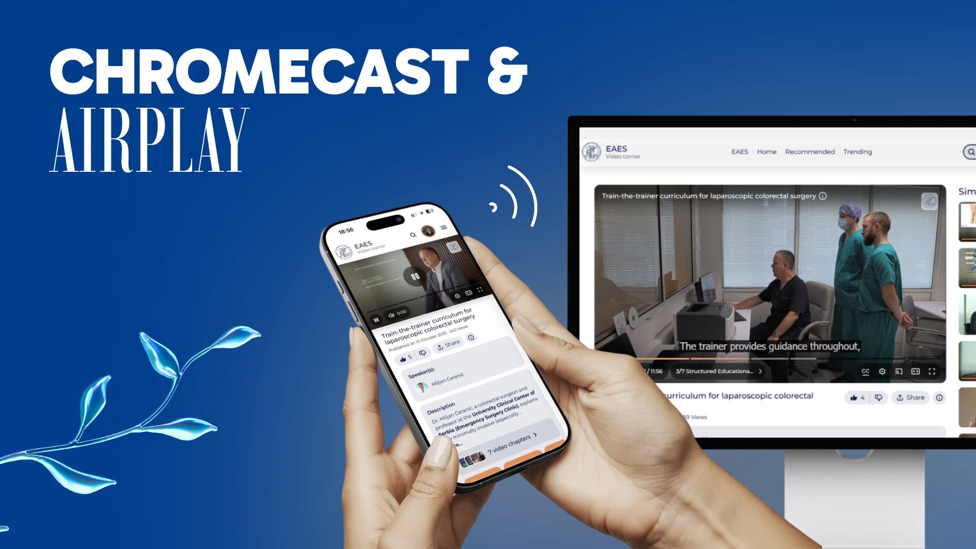 Chromecast & AirPlay