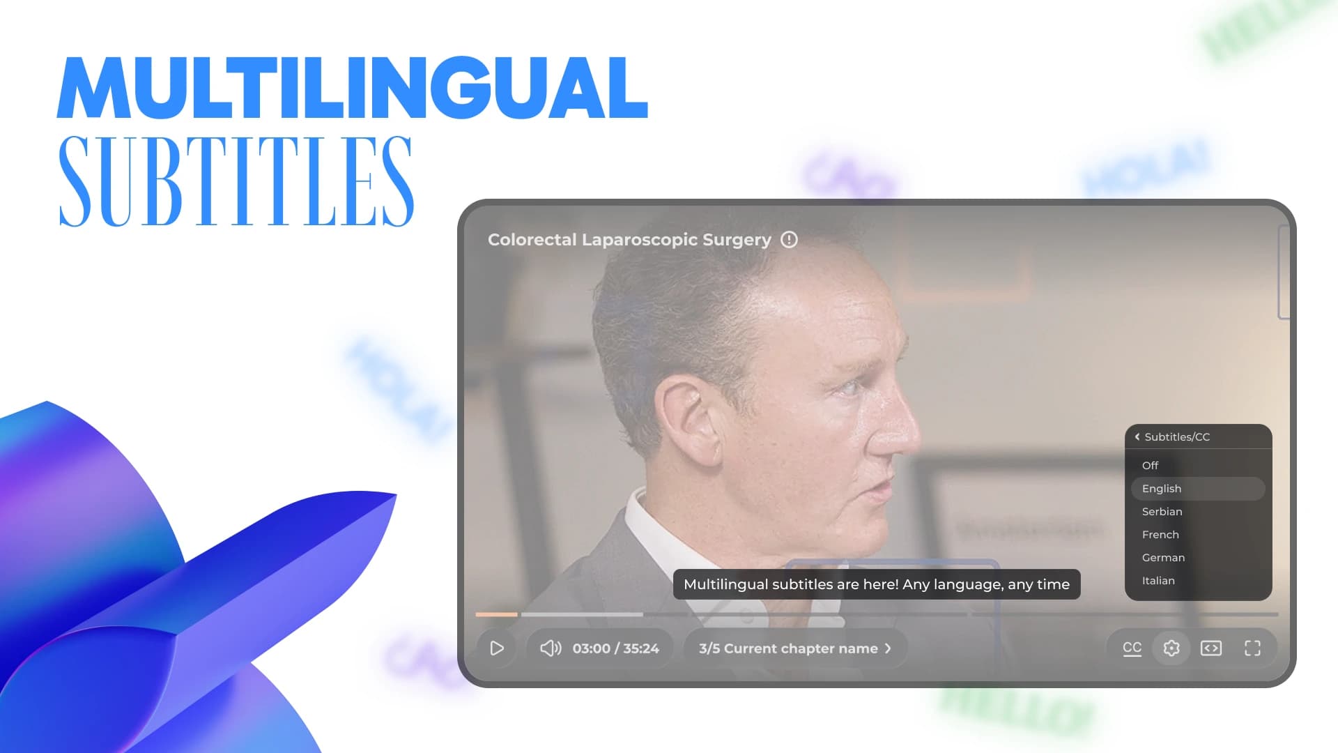Multilingual subtitles